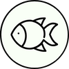 Baliq